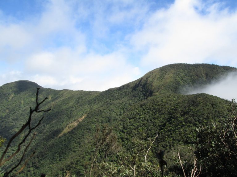 姑子崙山