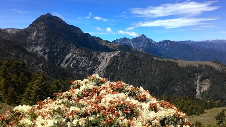 跟著春天去爬山