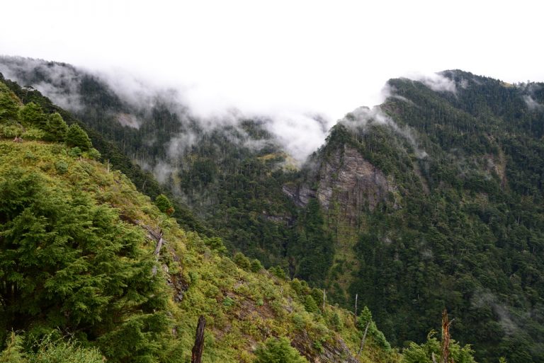 雨中玉山行