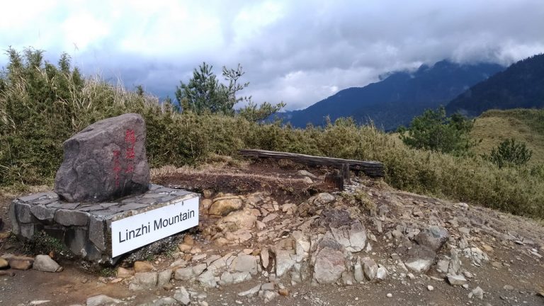 鹿林山+麟趾山