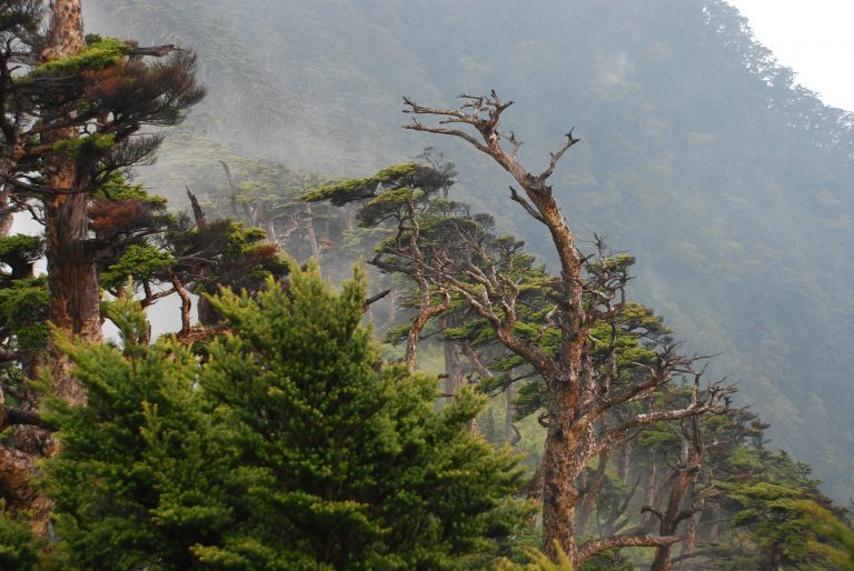 北大武山之二