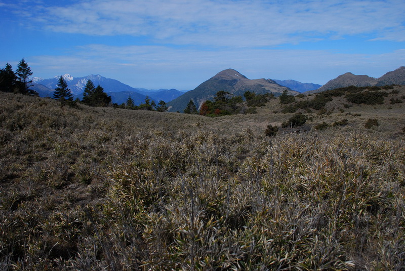 DSC_0342.JPG