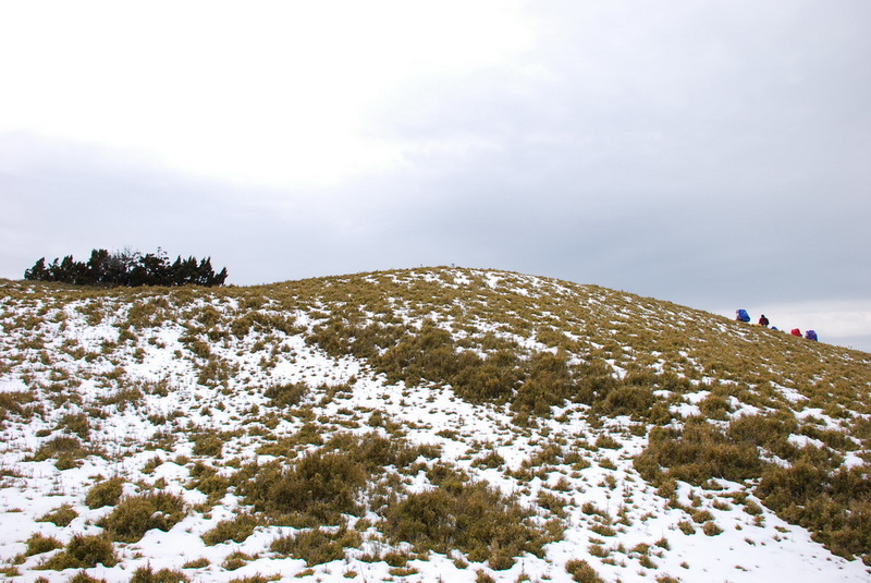 DSC_0382.JPG