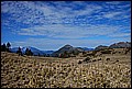 DSC_0340.JPG