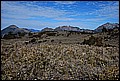 DSC_0341.JPG