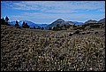 DSC_0342.JPG