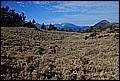 DSC_0343.JPG