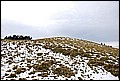 DSC_0382.JPG