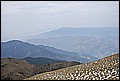 DSC_0385.JPG