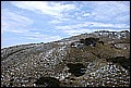 DSC_0391.JPG
