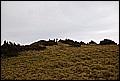 DSC_0394.JPG