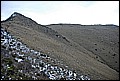 DSC_0404.JPG