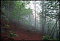 DSC_0479.JPG