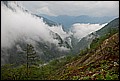 DSC_0480.JPG