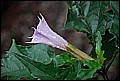DSC_0502.JPG