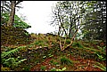DSC_0511.JPG