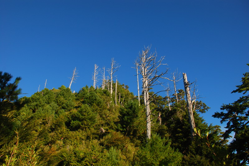 DSC_0446.JPG
