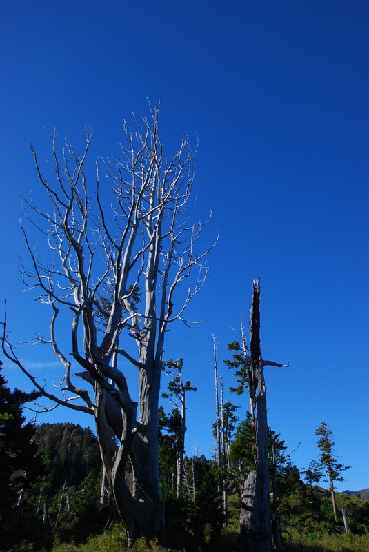 DSC_0450.JPG