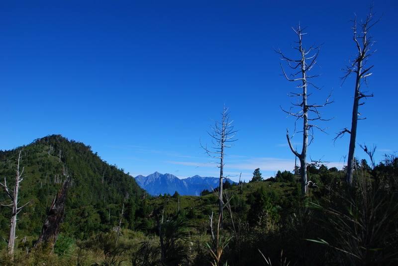 DSC_0451.JPG