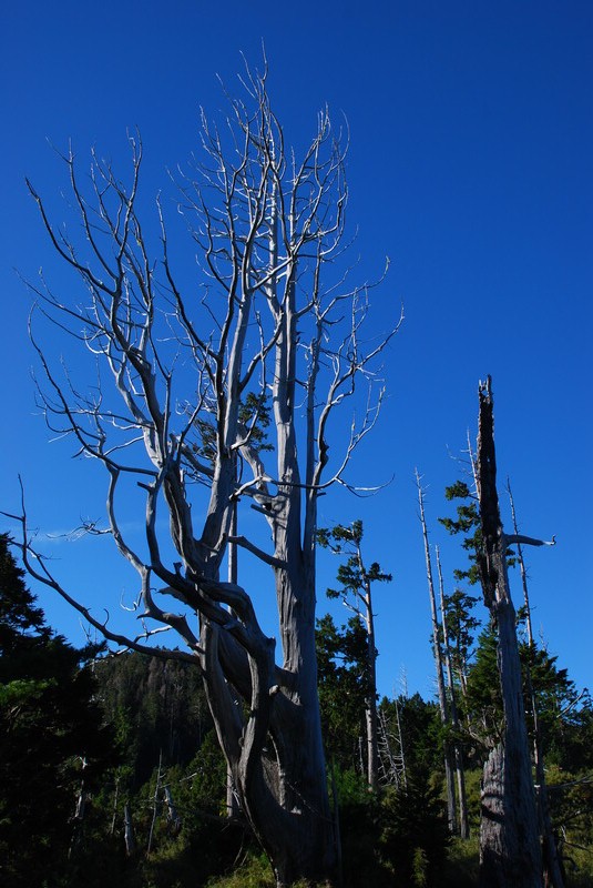DSC_0454.JPG