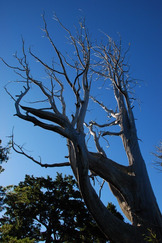 DSC_0455.JPG