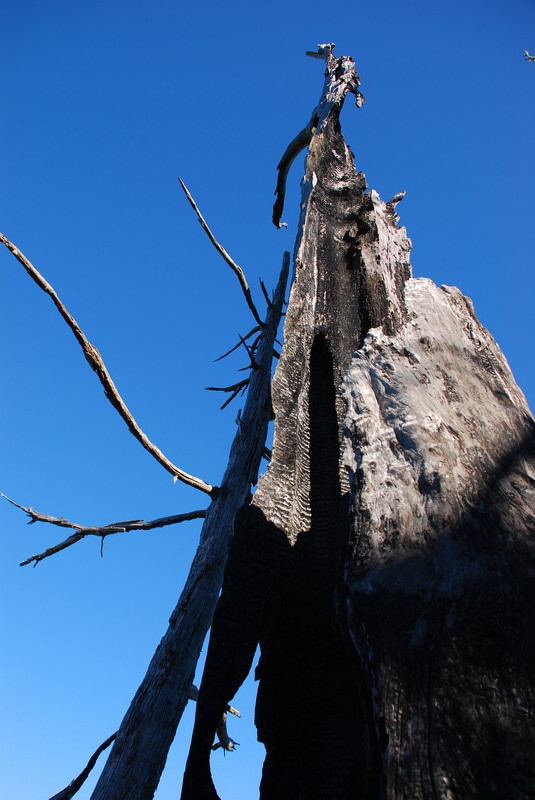 DSC_0457.JPG