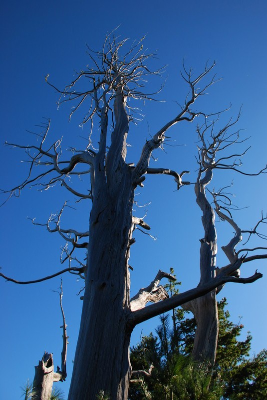 DSC_0458.JPG