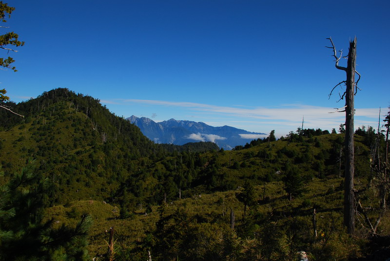 DSC_0459.JPG