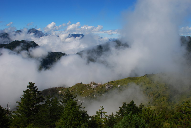 DSC_0509.JPG