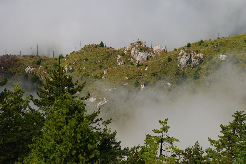 DSC_0510.JPG
