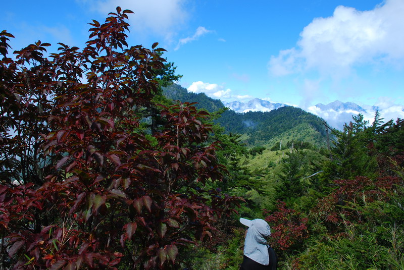 DSC_0512.JPG