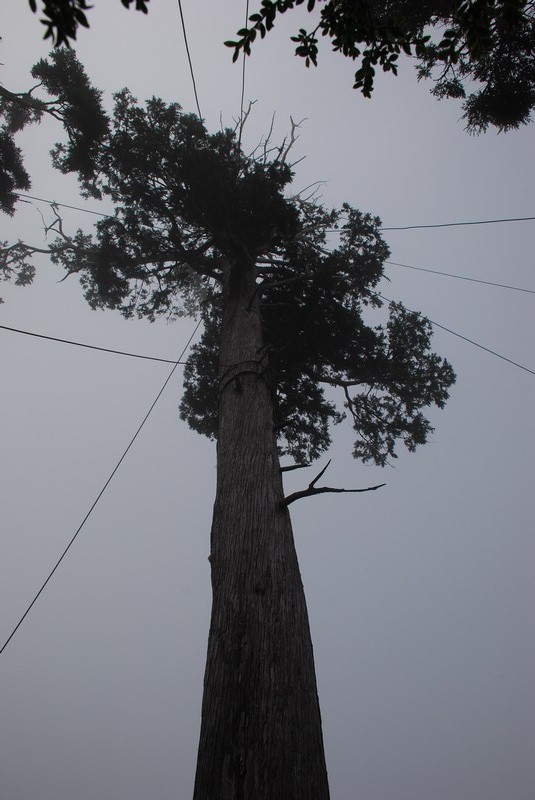 DSC_0516.JPG