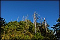 DSC_0446.JPG