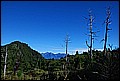 DSC_0451.JPG