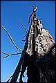 DSC_0457.JPG
