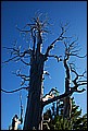 DSC_0458.JPG