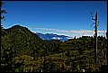 DSC_0459.JPG