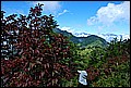 DSC_0512.JPG
