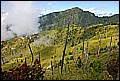 DSC_0514.JPG