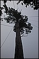 DSC_0516.JPG
