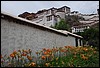布達拉宮DSC_0150.JPG